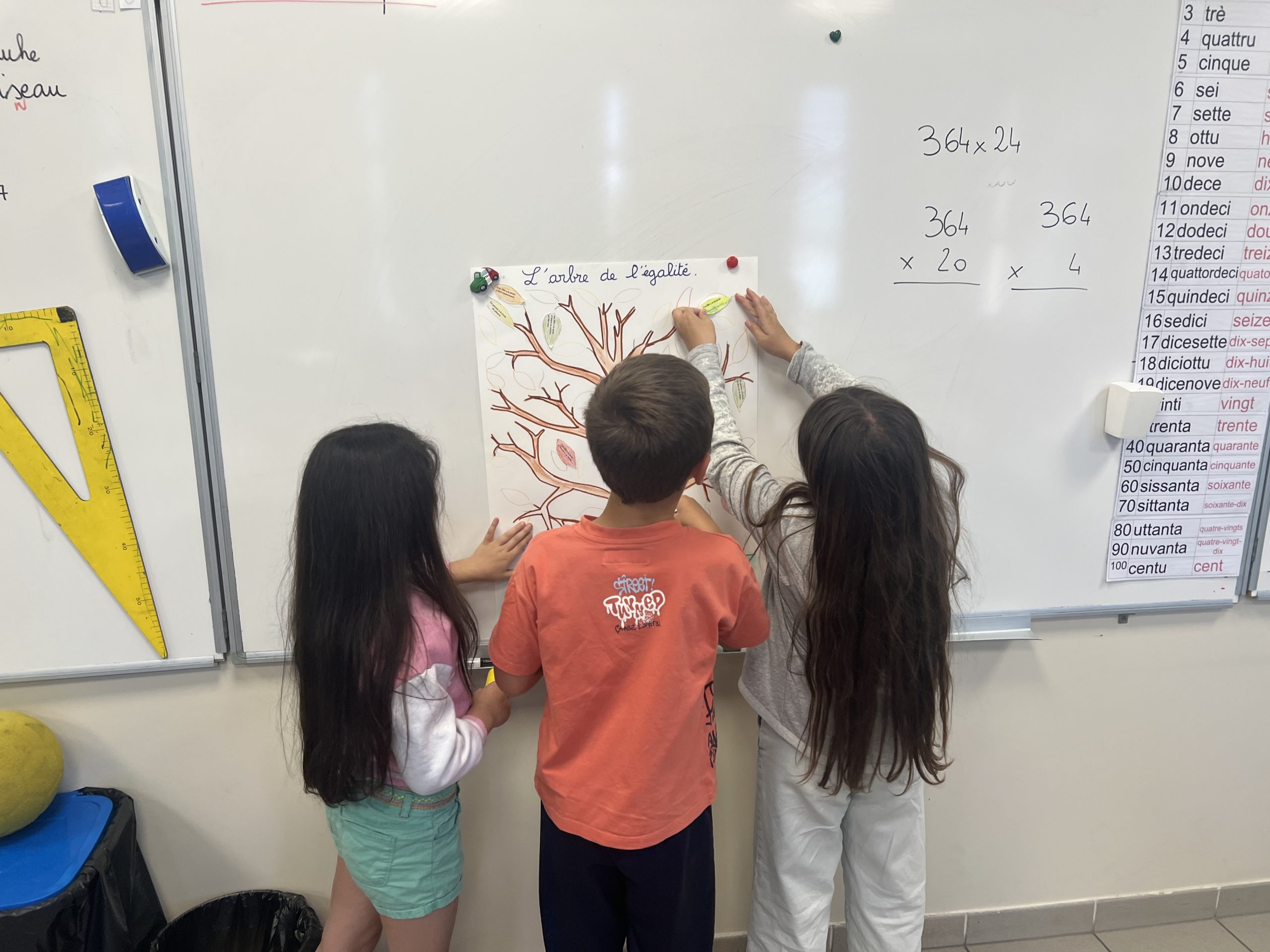 L’ARBRE DE L’EGALITE A VICO ET SAGONE … – Association Savannah